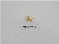 藏品(波紋斑苔蛾)的圖片